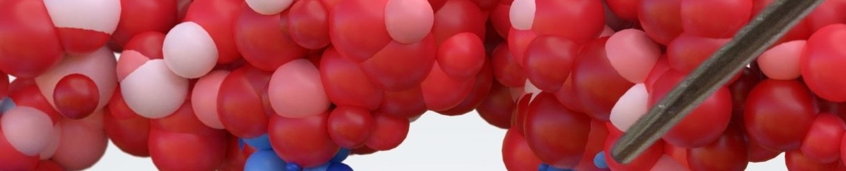 US FDA HAS APPROVED GENE THERAPY