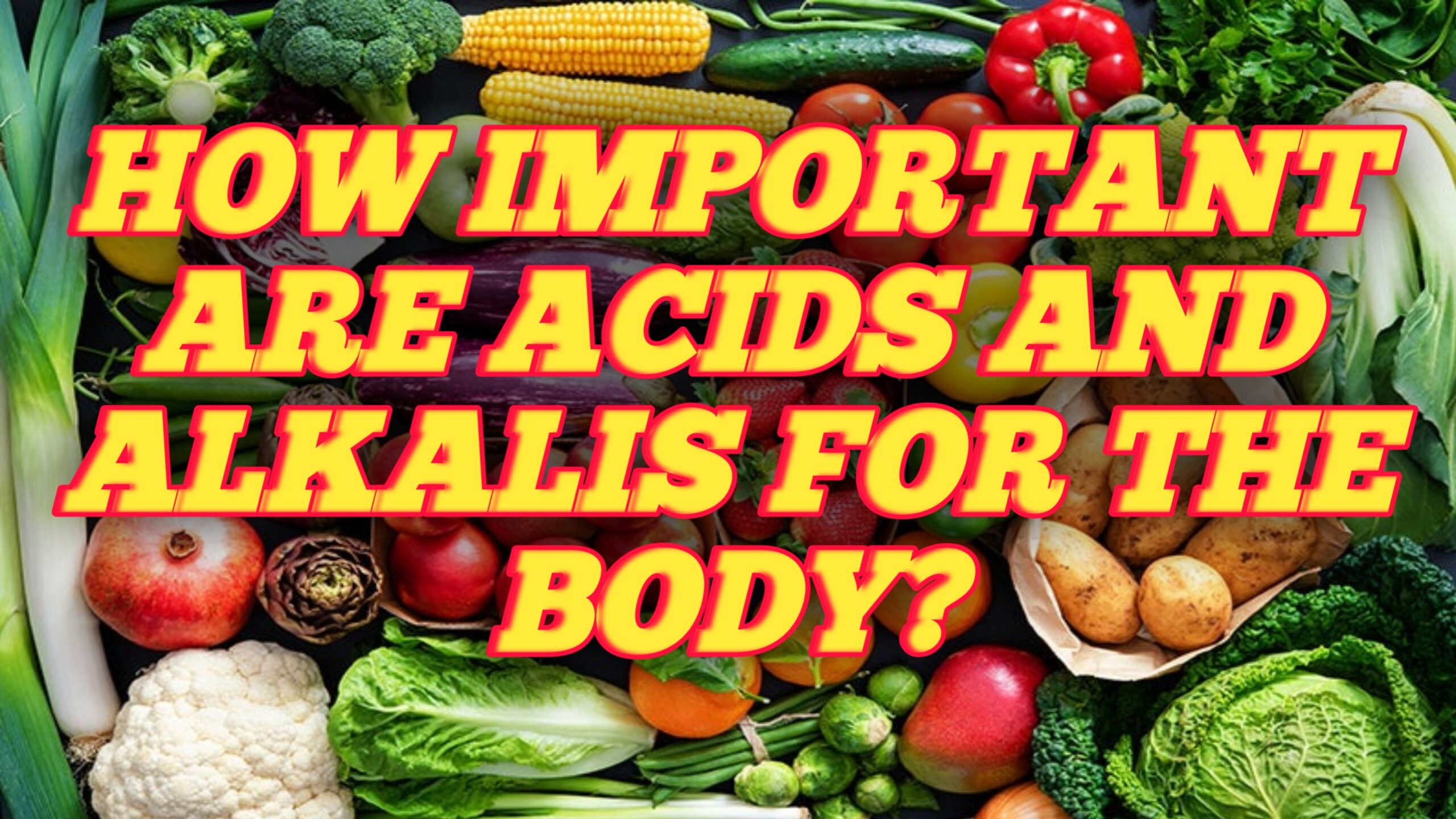 How important are acids and alkalis for the body?