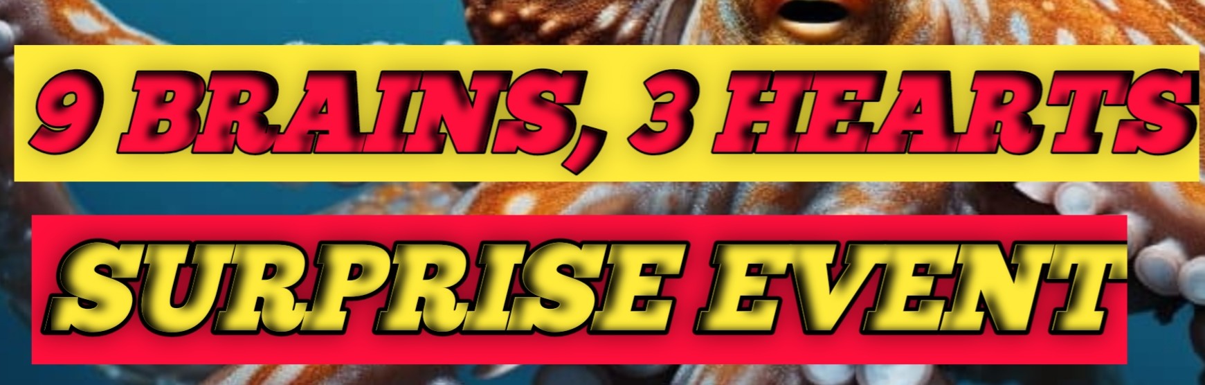 9 brains, 3 hearts. Surprise event