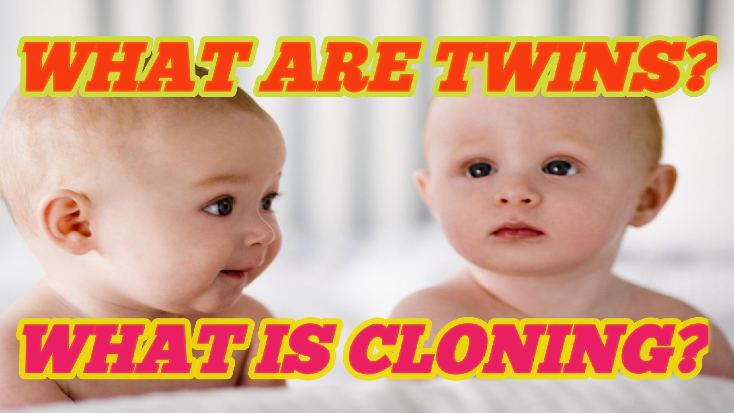 What are twins? What is cloning?