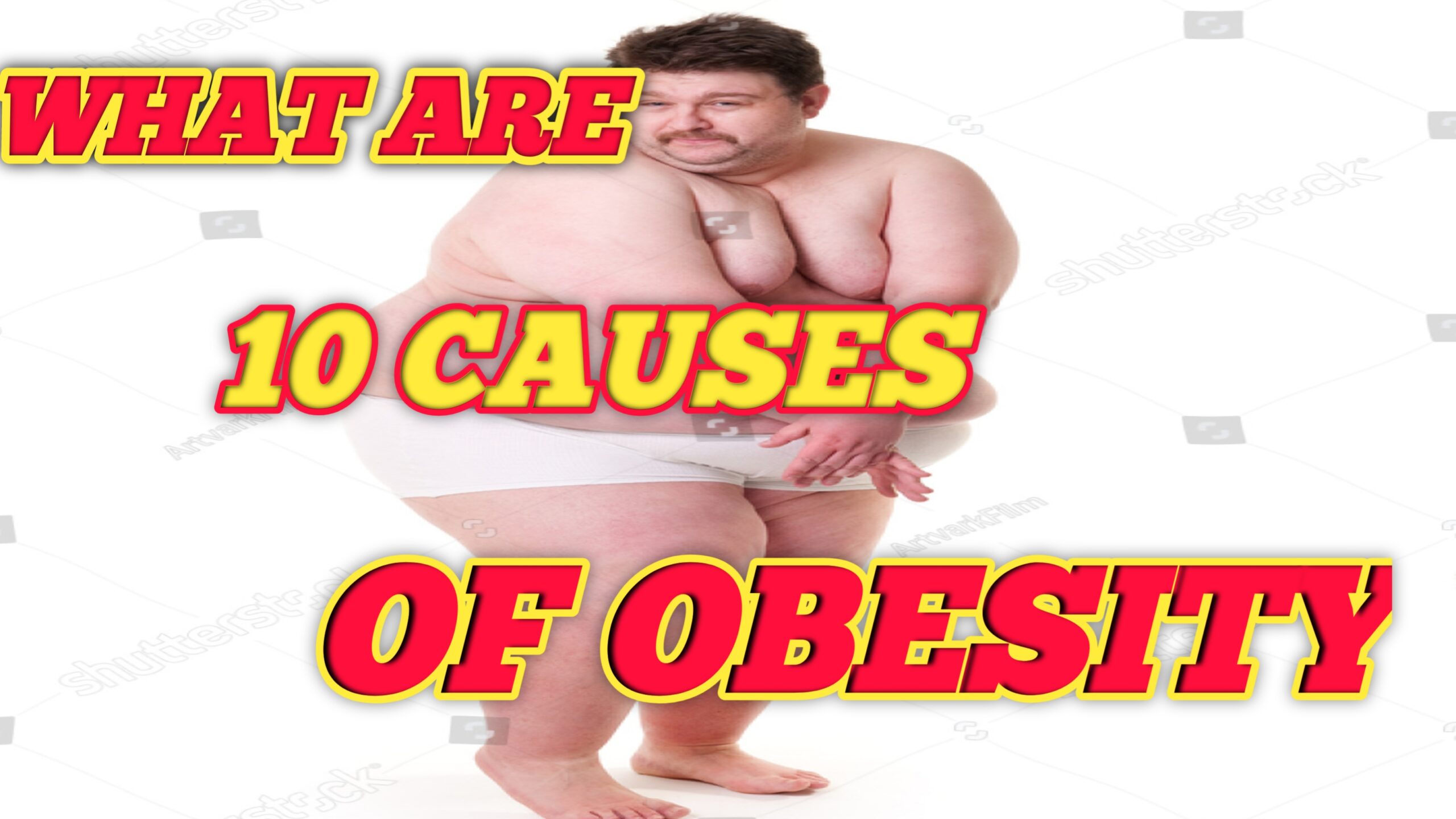 What are 10 causes of obesity?