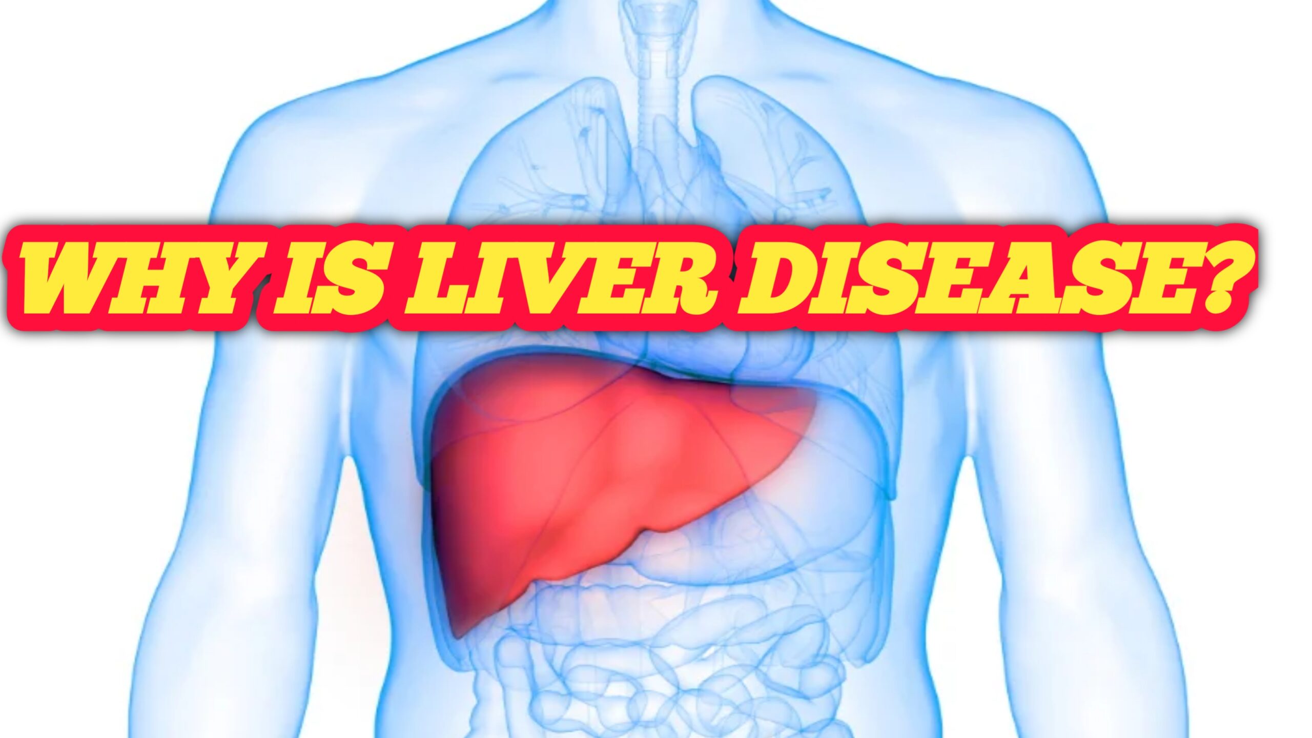 Why is liver disease? What is the solution?